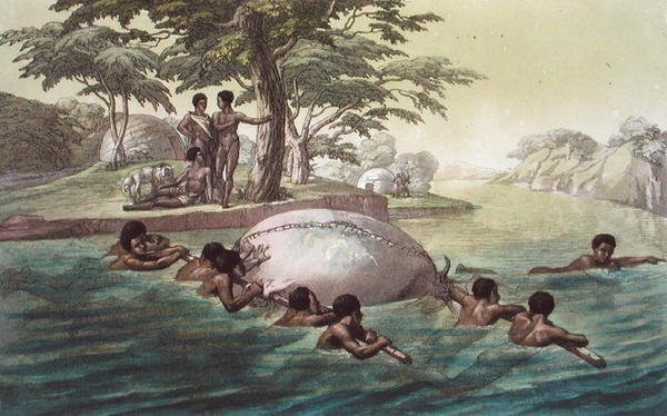Gingri Tribesmen Crossing the River Zebee, plate 67 fra 