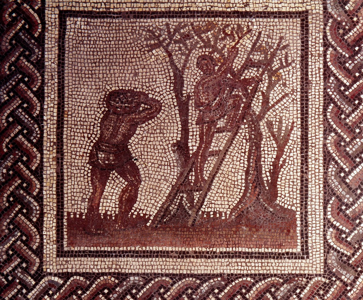 Gallo Roman Art: mosaikkbelegg som representerer en rustikk kalender. Olivenplukkingsscene. Slutt 2., begynnelsen av 3. århundre etter JC. Fra Saint-Romain-en-Gal (Rhône). Saint Germain en Laye, Nasjonalmuseet for arkeologi av Gallo Roman
