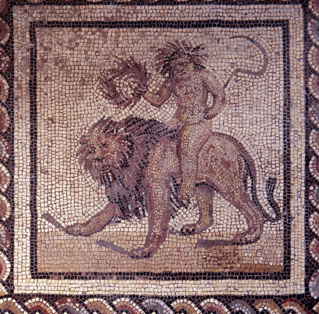 Gallo Roman Art: mosaikkbelegg som representerer en rustikk kalender. Sommer allegori om en løve. Slutt 2., begynnelsen av 3. århundre etter JC. Fra Saint-Romain-en-Gal (Rhône). Saint Germain en Laye, Nasjonalmuseet for arkeologi av Gallo Roman
