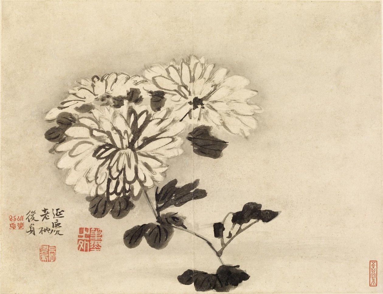 Krysantemum av Gao Qipei