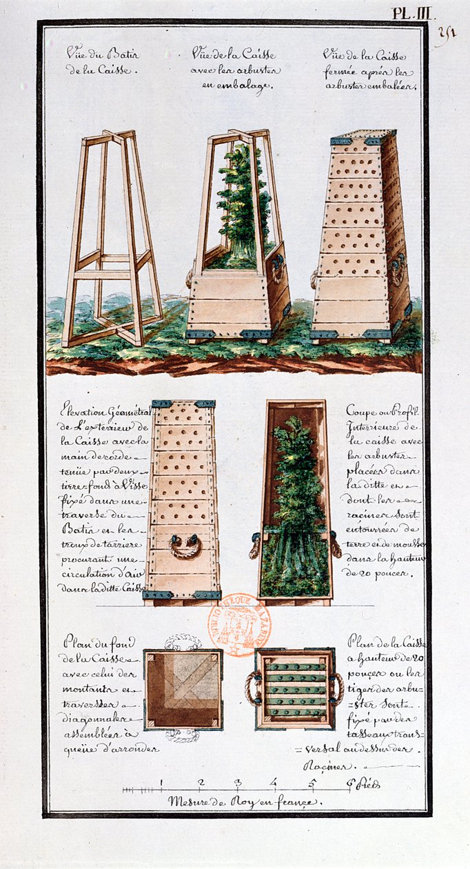 Illustrasjon av et spesielt skap for transport av busker og busker, fra kunstnerens notatbok laget under ekspedisjonene til Jean-Francois Gallup de la Perouse (1741-88) (penn og blekk og wc på papir av Gaspard Duche de Vancy
