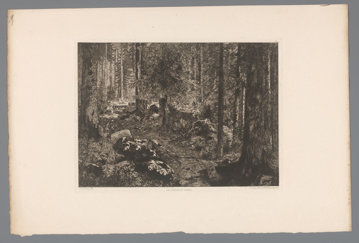 Boslandschap Grantrærne til Doubs (tittel på objekt) Frankrike etsen uit 1876 (serietittel) Etsning i 1876 (serietittel) av Gaston Coindre