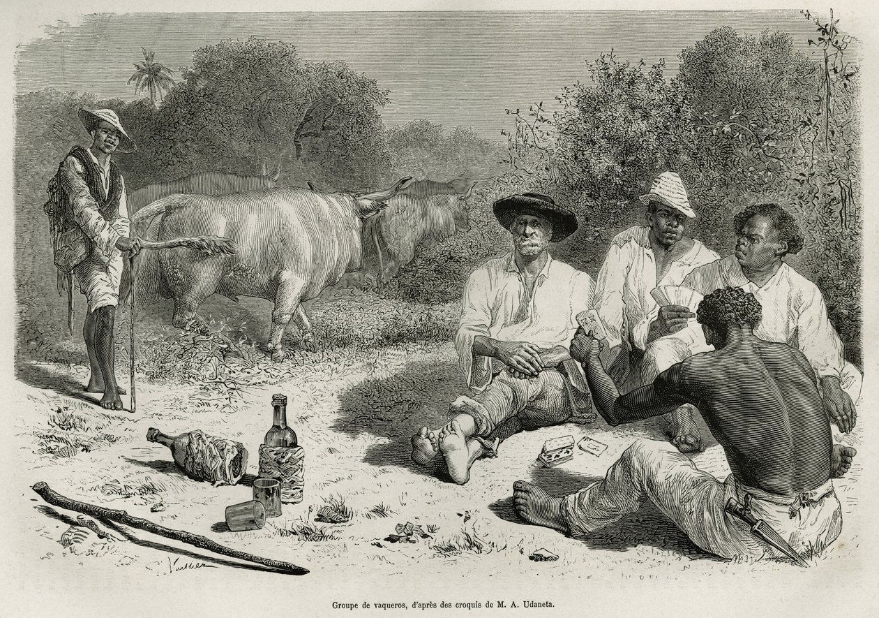 En gruppe vaqueros som spiller kort og drikker alkohol, i nærheten av okseflokkene deres, graverer etter en tegning av G.Vuillier, for å illustrere historien De Cayenne aux Andes, av Jules Crevaux, lege for den franske marinen, i 1878-1879, utgitt i tour d av Gaston Vuillier
