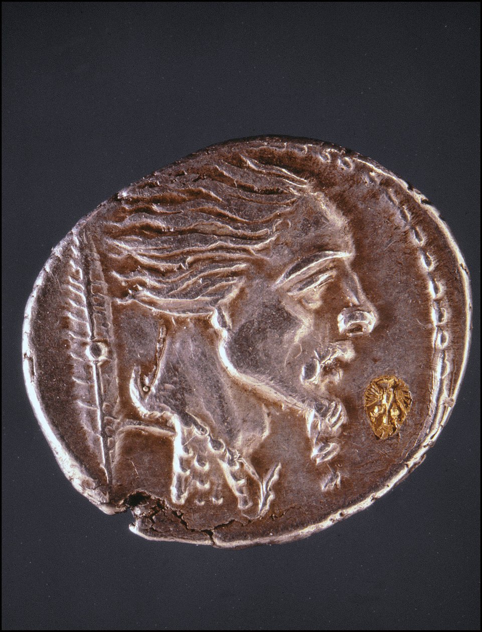 Anta profilen til Vercingetorix på et Gauloise-stykke. Museum for medaljesamlingen. Milan av Gaulish Gaulish