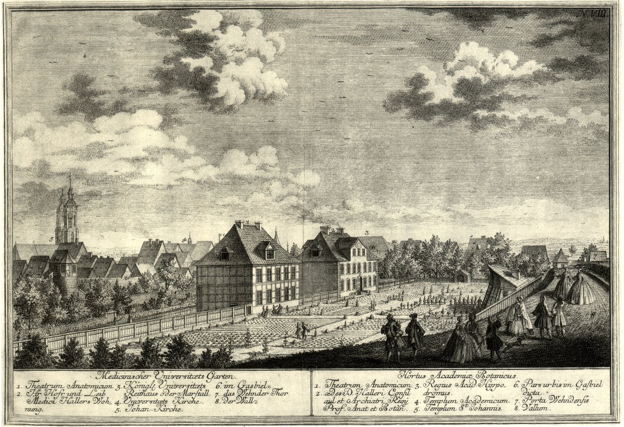 Göttingen gamle botaniske hage av Georg Daniel Heumann