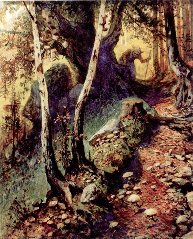 Jakt sopp i den gamle skogen av Georg Janny