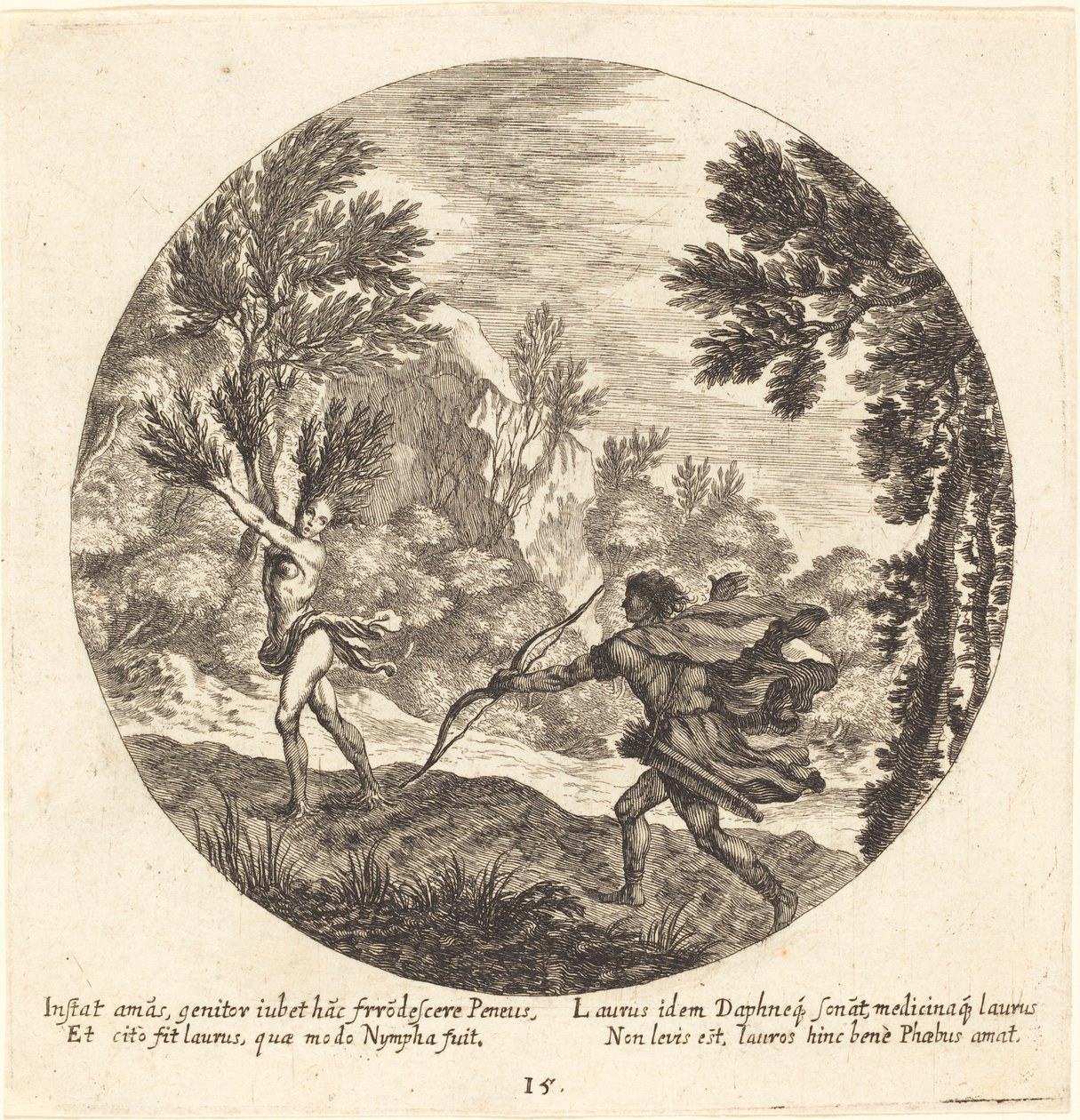 Daphne vender seg til en laurbær av Georg Andreas Wolfgang the Elder
