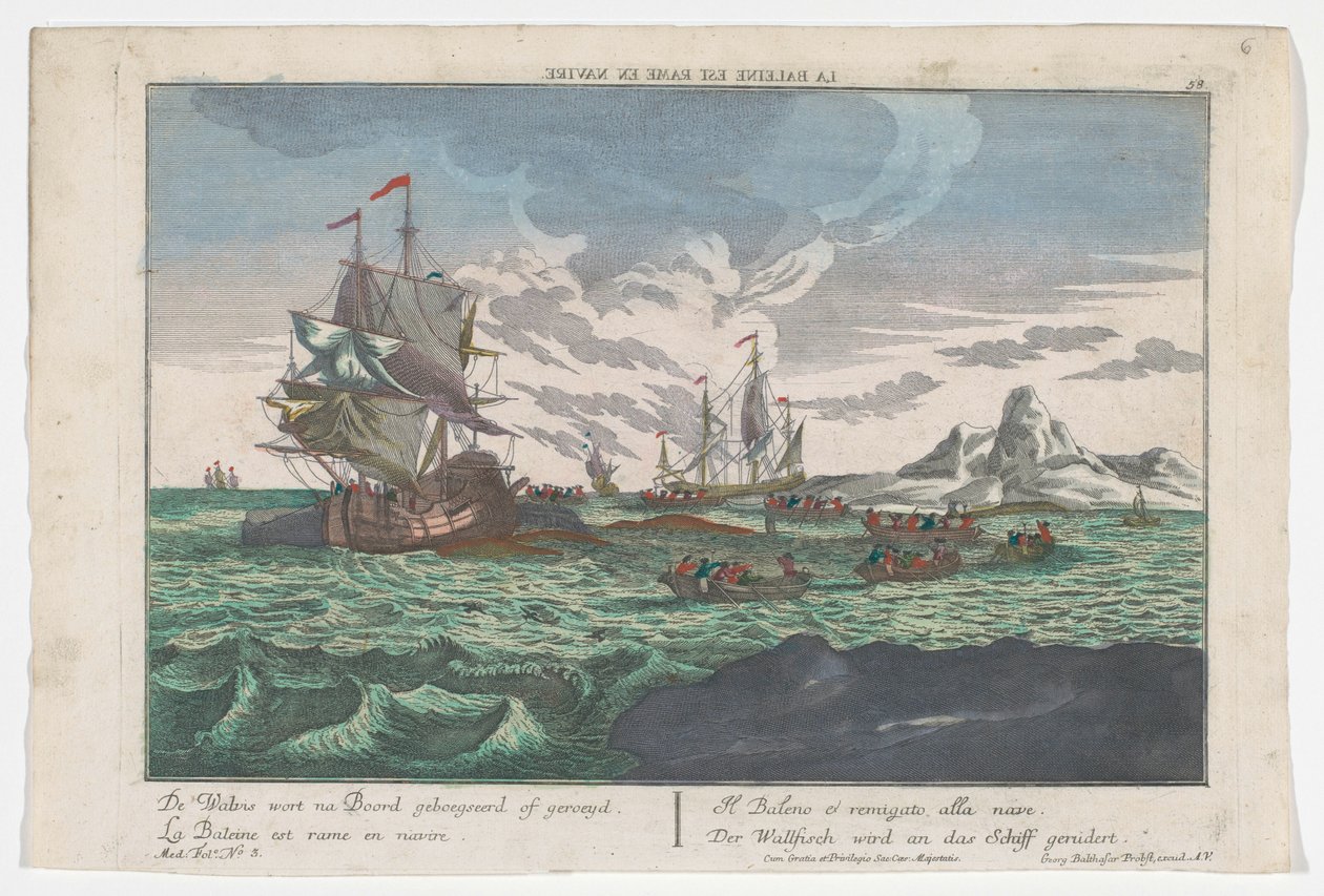 Utsikt over roingen av hvalene til skipene Der Wallfisch wird an das Schiff gerudert (tittel på objekt) Hvalfangst utenfor Grønland (serietittel) av Georg Balthasar Probst