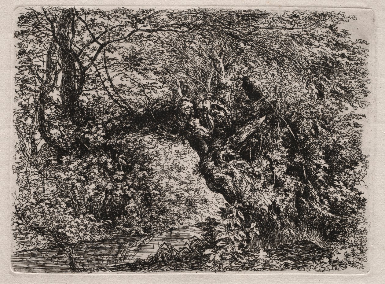 The Old Willow at a Brook, 1794. av Georg von Dillis