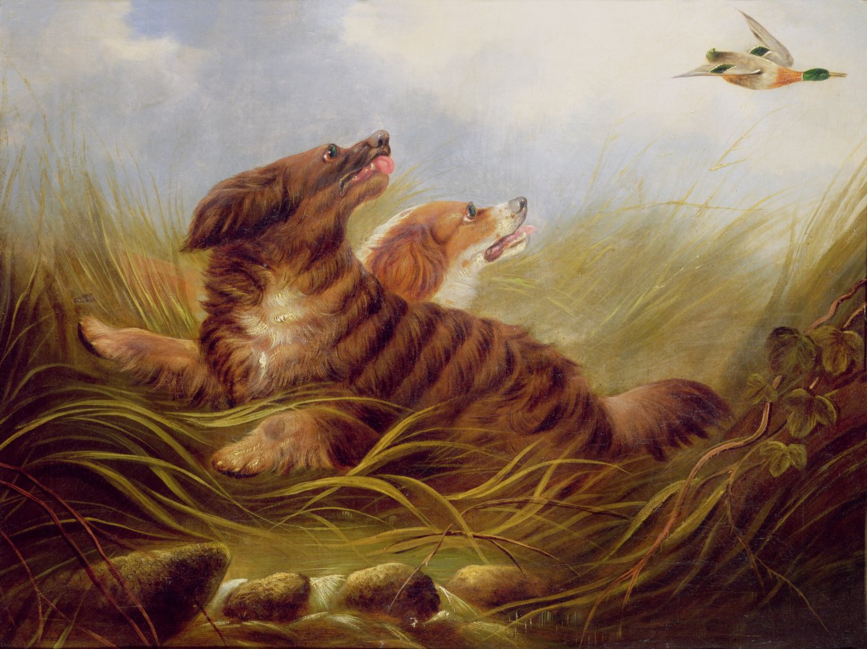 Spaniels tresking av George Armfield
