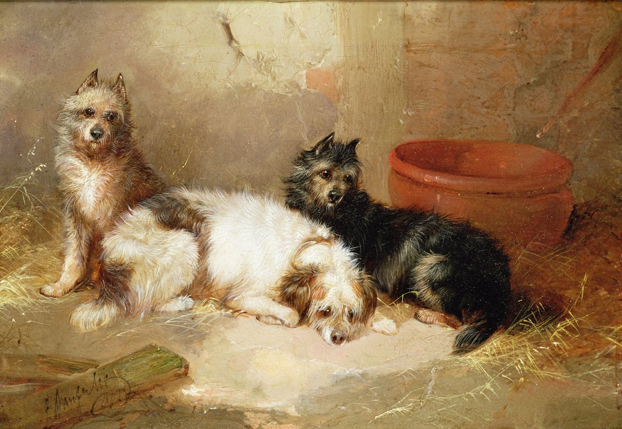 Tre terriere av George Armfield