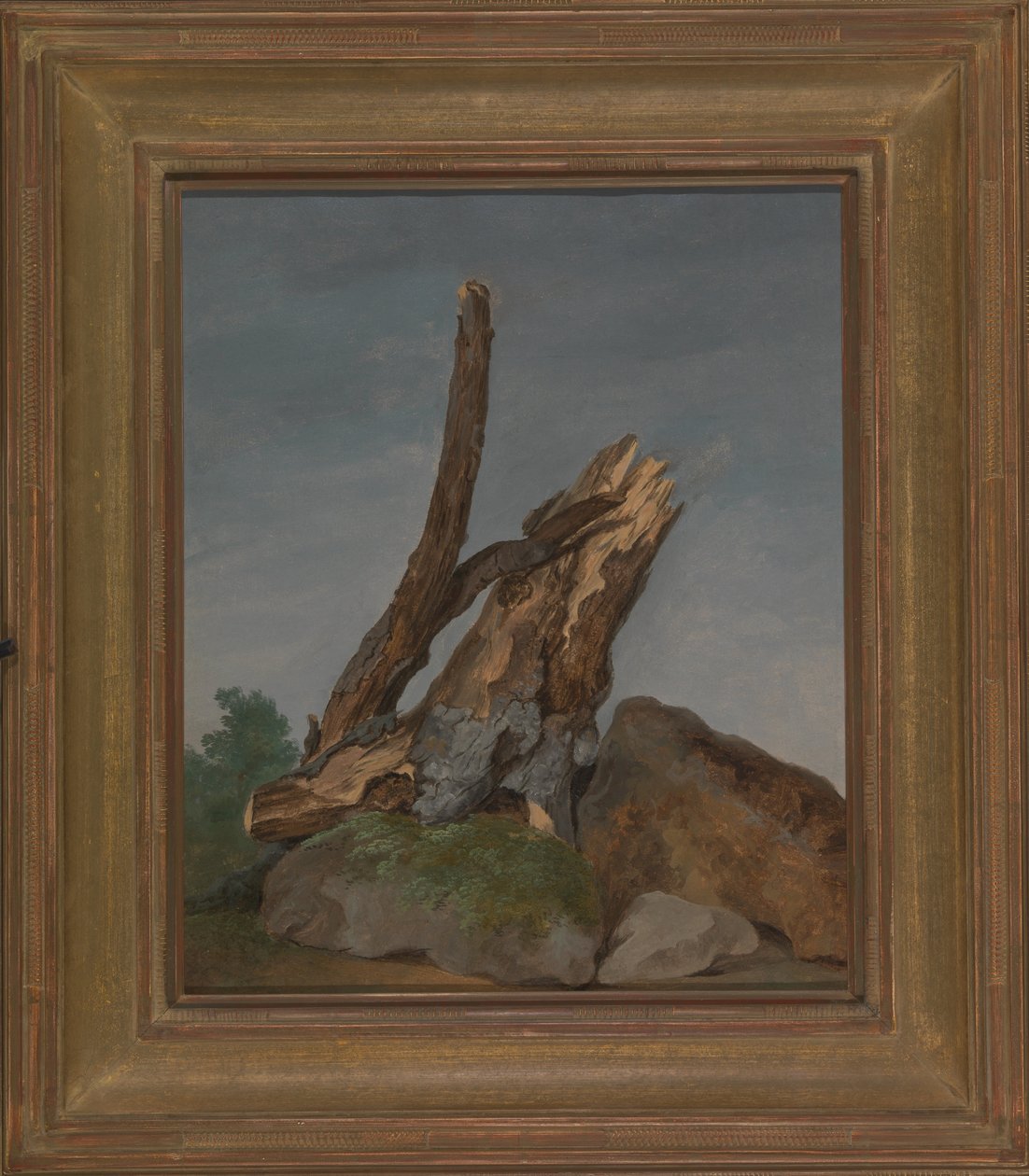 Studie av bergarter og grener av George Augustus Wallis