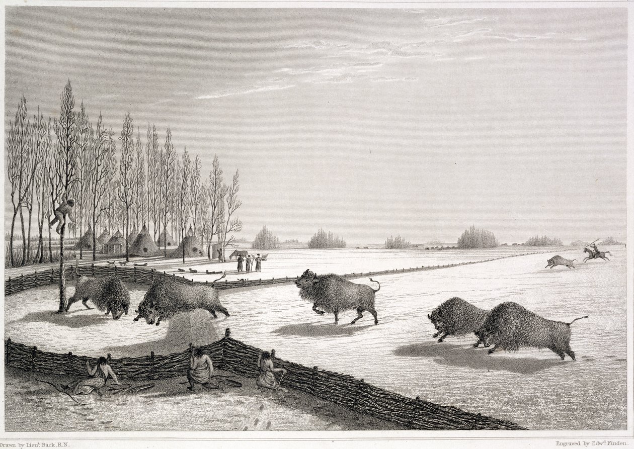 A Buffalo Pound, fra 