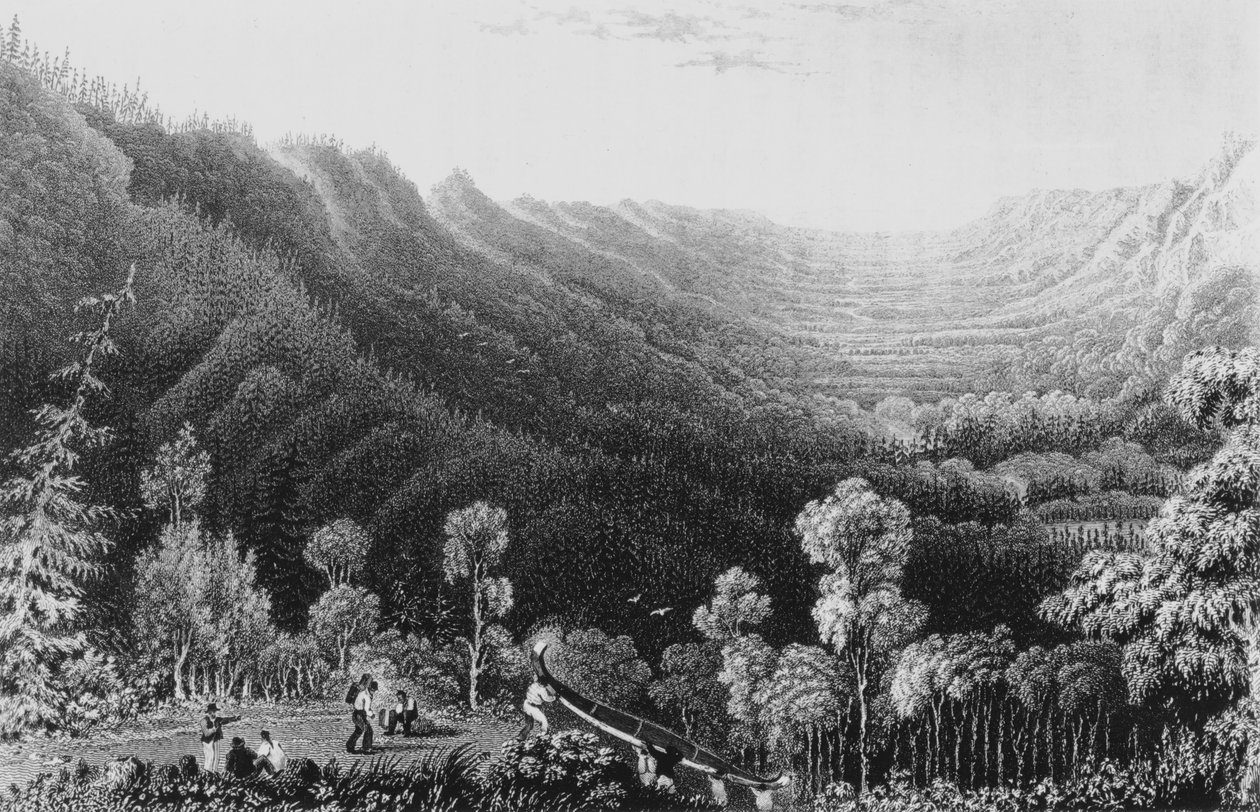 Vale of the Clearwater River fra Methye Portage, 1828 av George Back