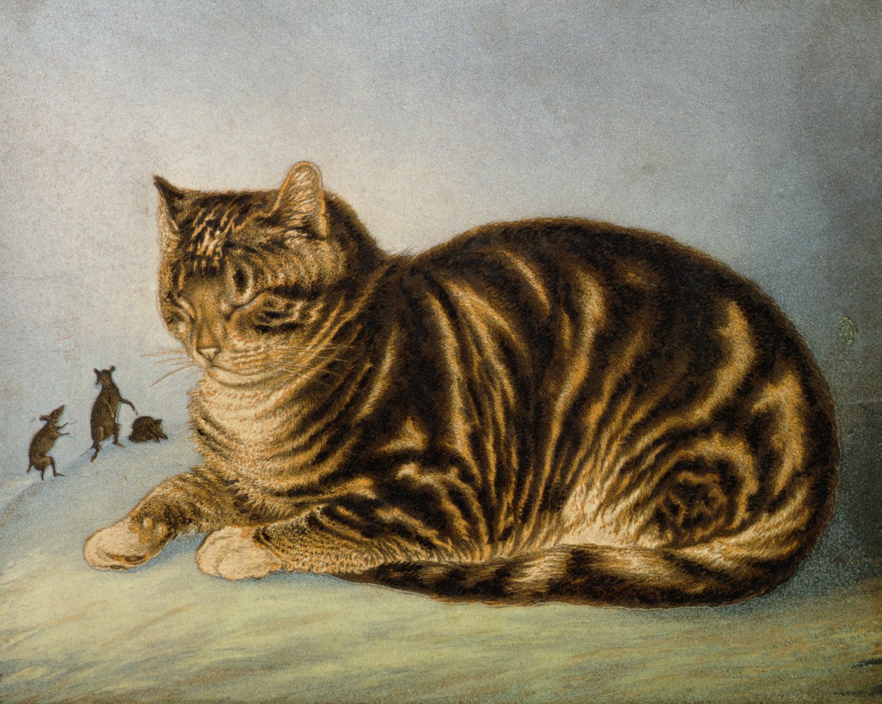 Puss napping (trykk) av George Baxter