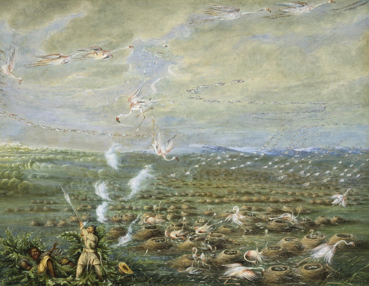 Flamingo -skyting i Sør -Amerika av George Catlin