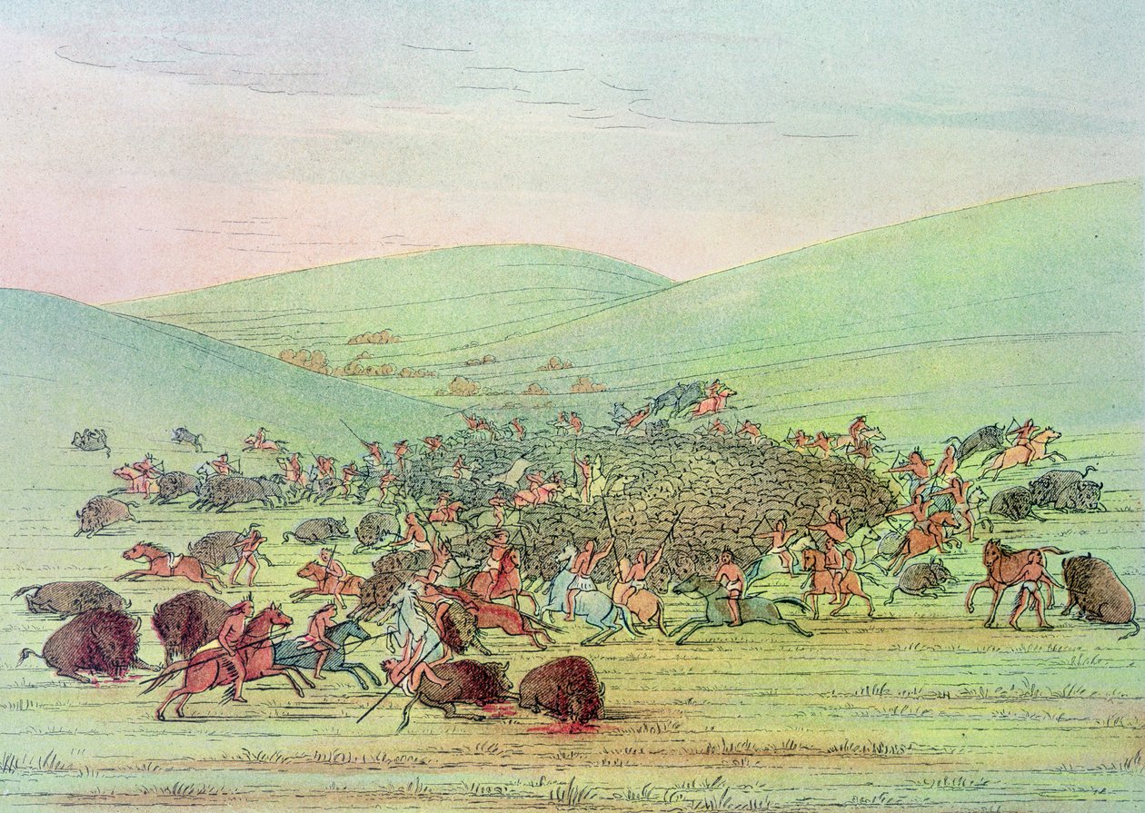 Minatarees angriper bøfler på hesteryggen av George Catlin