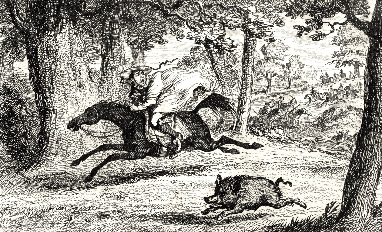 Kardinal John av Belue jager en villsvin, illustrasjon fra 