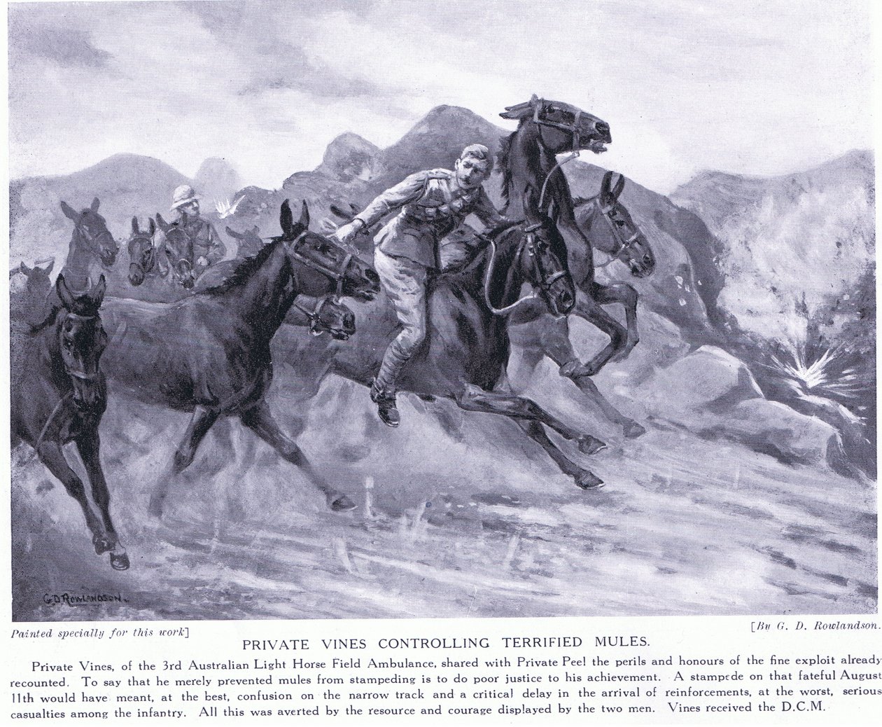Private Vines tildelte DCM for å kontrollere livredde muldyr august 1915 av George Derville Rowlandson