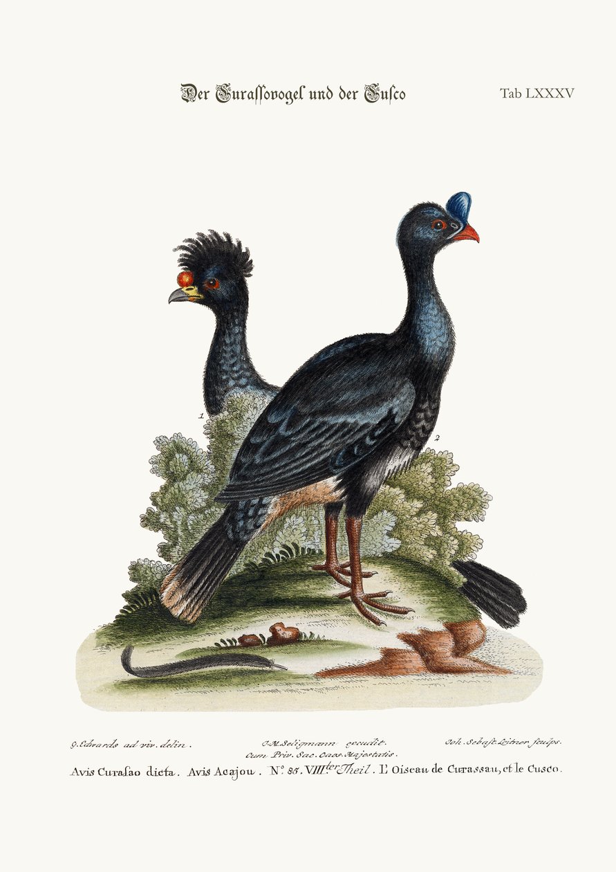 Begravelsesstela med en due eller ørn, 8.-9. århundre e.Kr. (kalkstein) av George Edwards