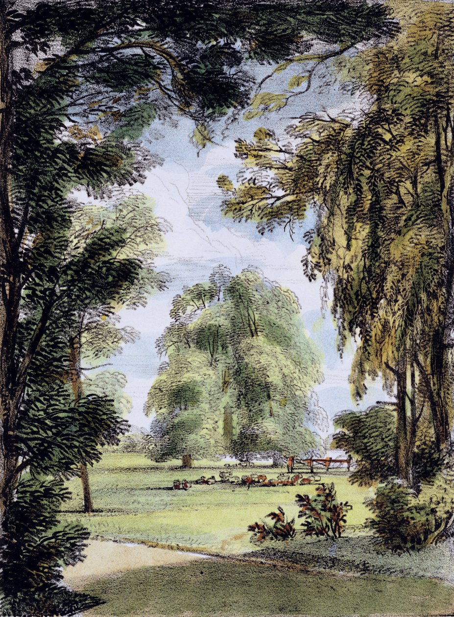 The Sister Trees, Kew Gardens, plate 8 fra 