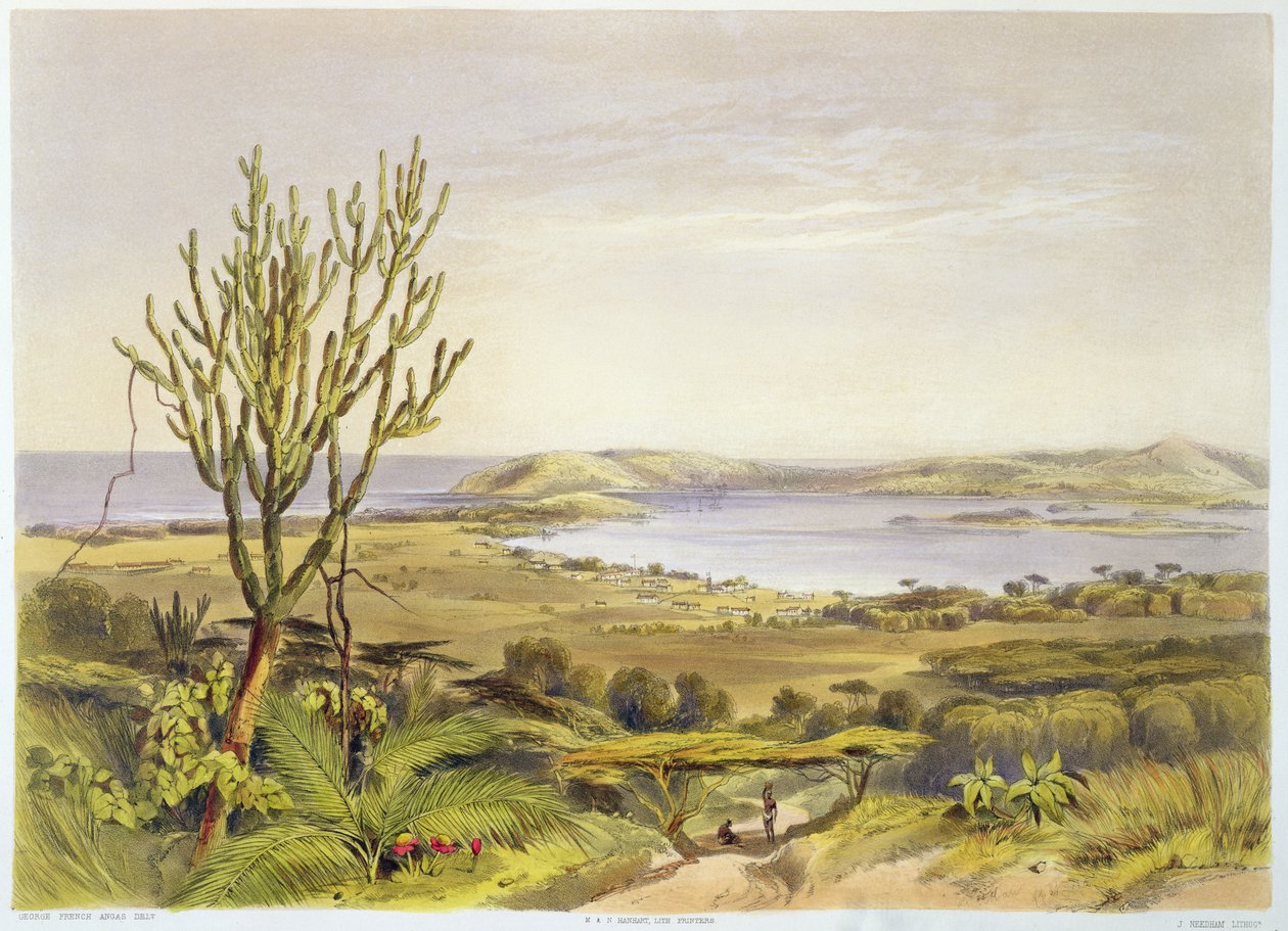 Durban, Port Natal, plate 28 fra 