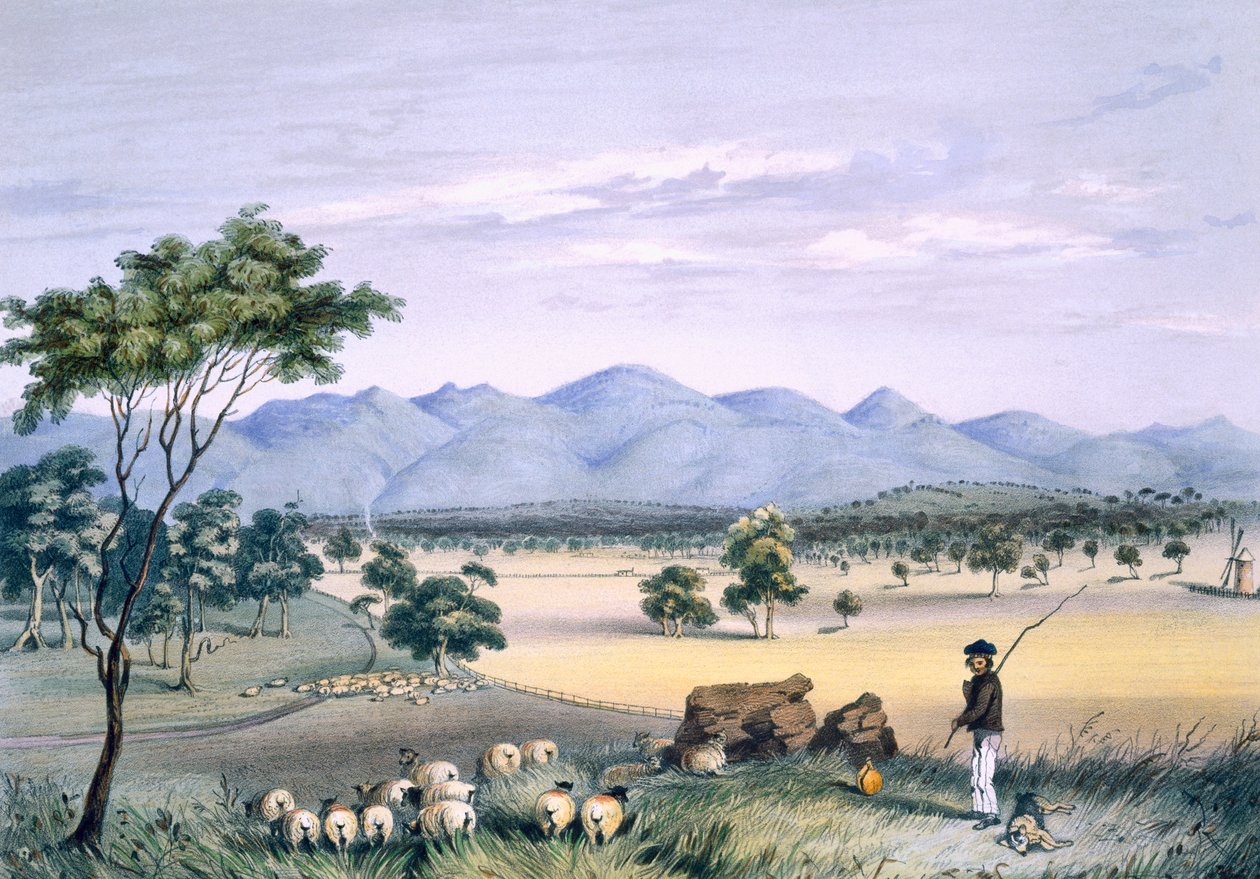 Lynedoch Valley ser mot Barossa Range, fra 