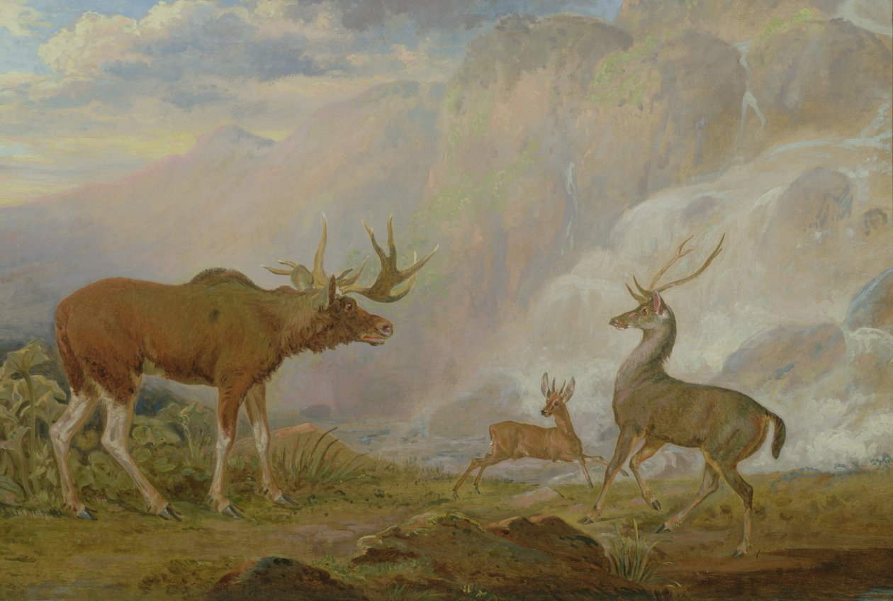 Earl of Orfords elg, antilope og hjort av George Garrard