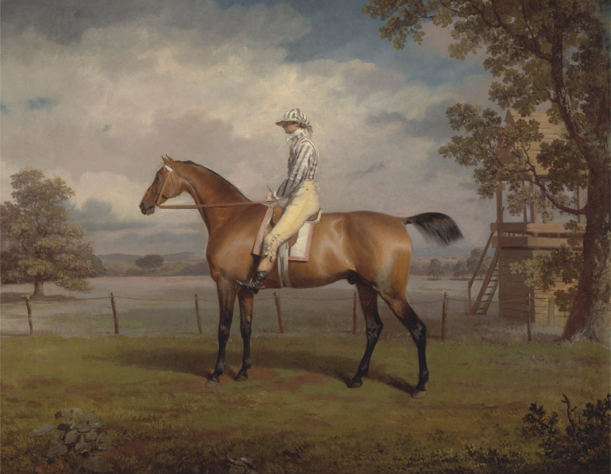 Portrett av en racerhest, muligens forkledning, eiendommen til hertugen av Hamilton, med Jockey Up av George Garrard