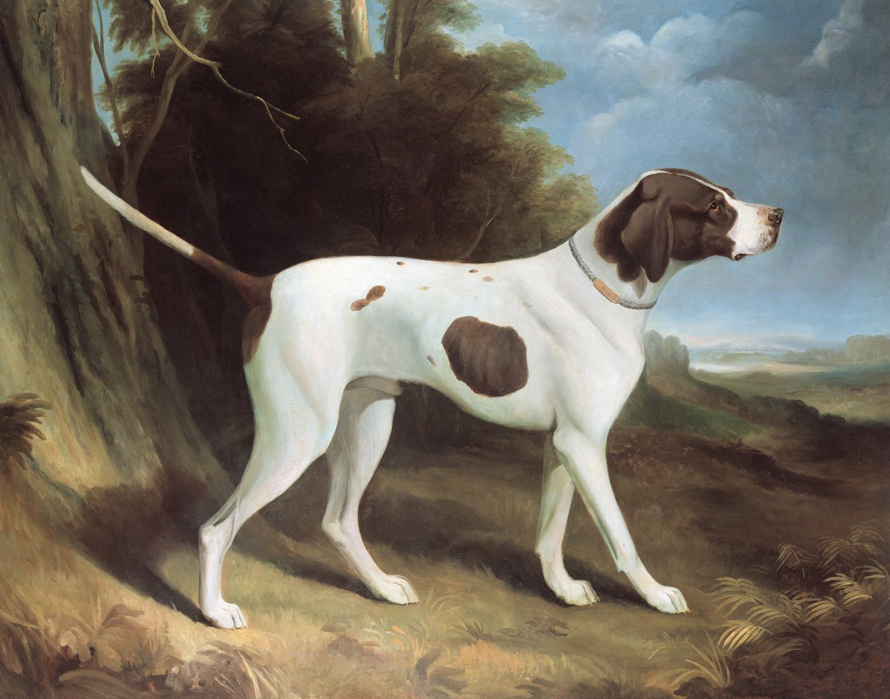 Portrett av en lever og hvit peker av George Garrard