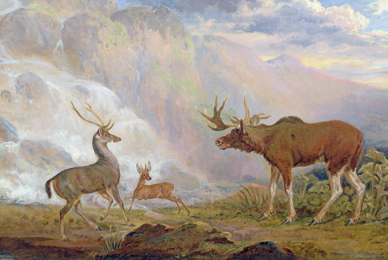Jarlen av Orfords elg fra Norge. antilope fra Afrika og hjort fra Prinsens øy av George Garrard