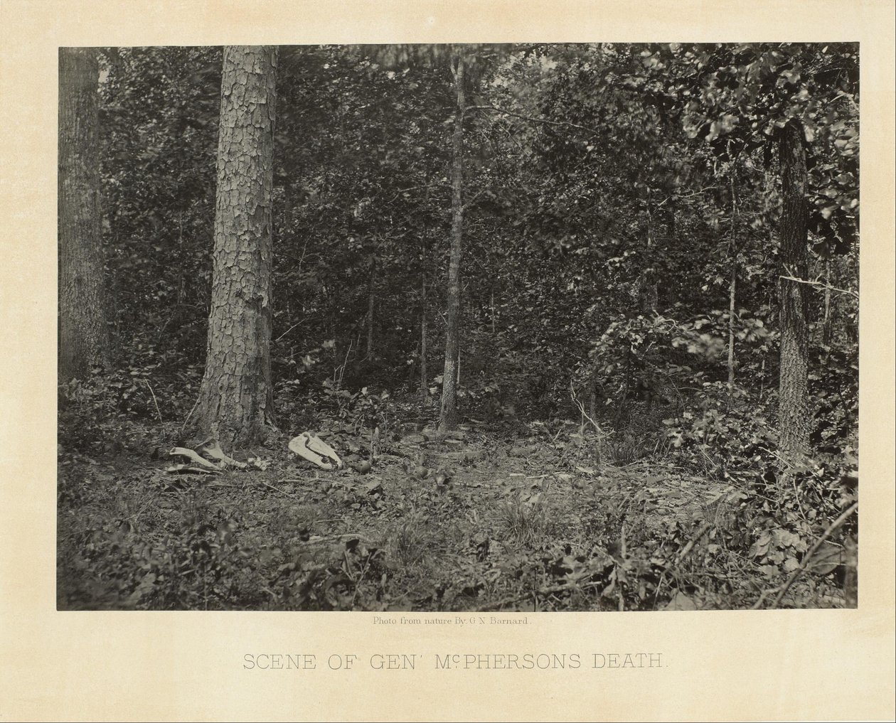 Scene for general McPhersons død av George N. Barnard