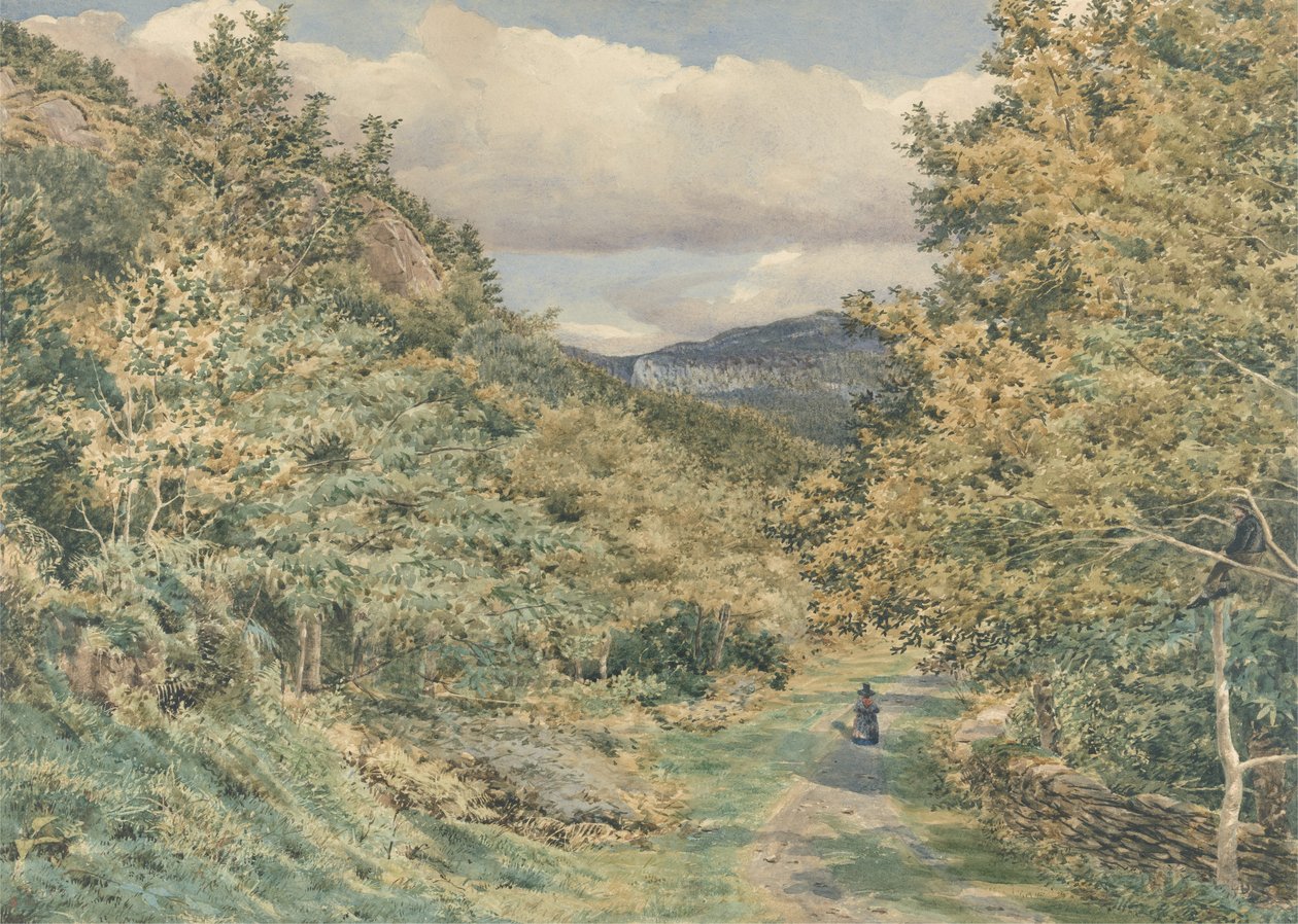 A Road nær Bettws-y-Coed, 1851 (wc over grafitt på papir) av George Price Boyce