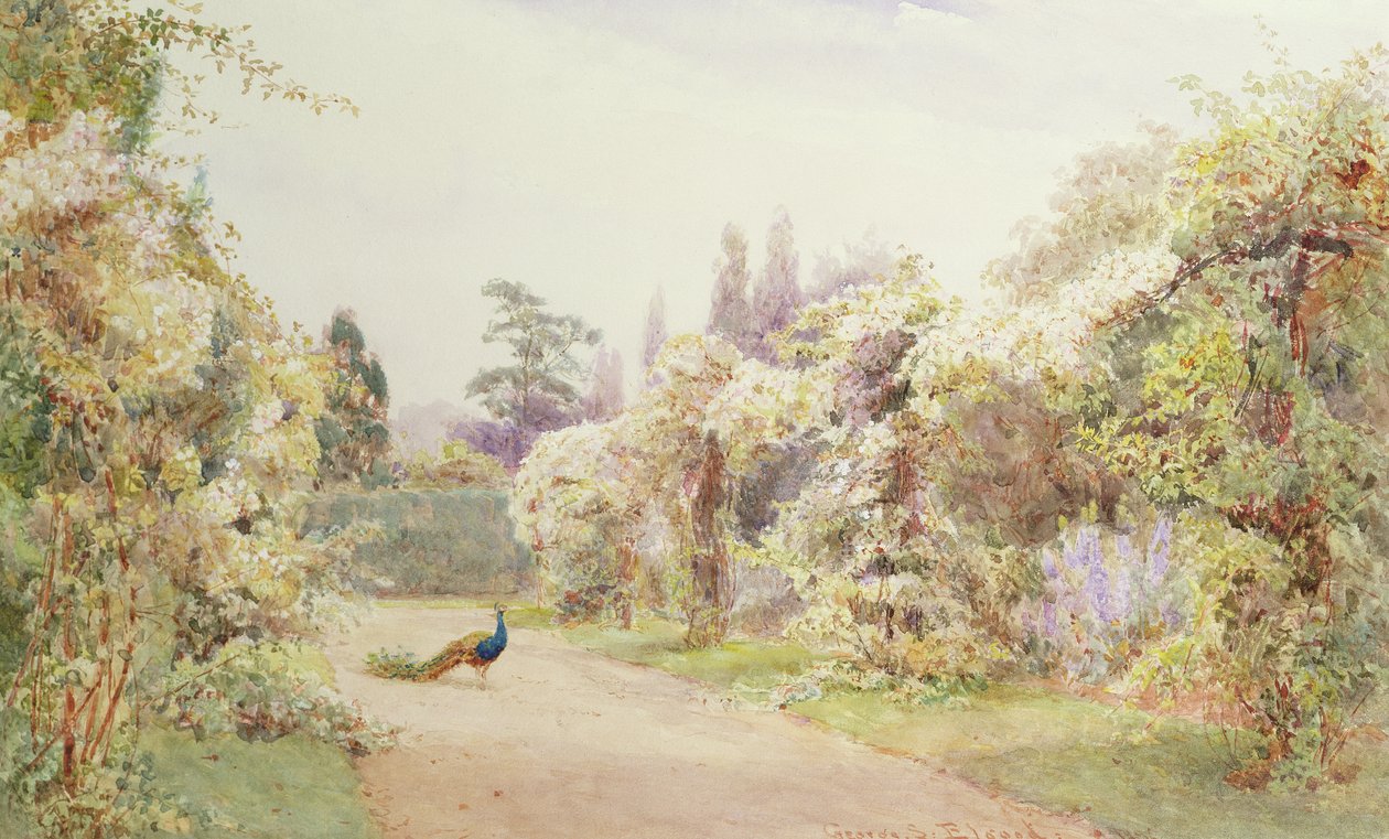 Sommerhage med en påfugl av George Samuel Elgood