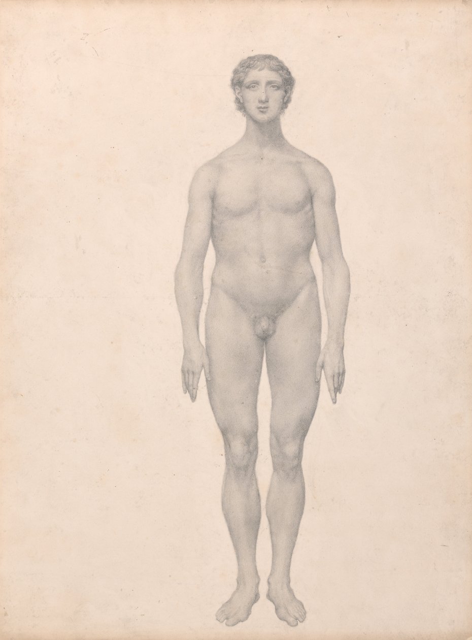 En komparativ anatomisk utstilling av menneskekroppens struktur med en tiger og en ... av George Stubbs