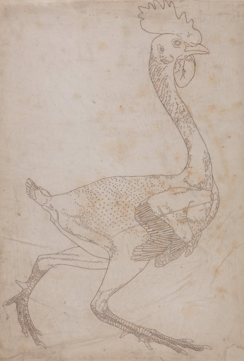 En komparativ anatomisk utstilling av menneskekroppens struktur med en tiger og en ... av George Stubbs