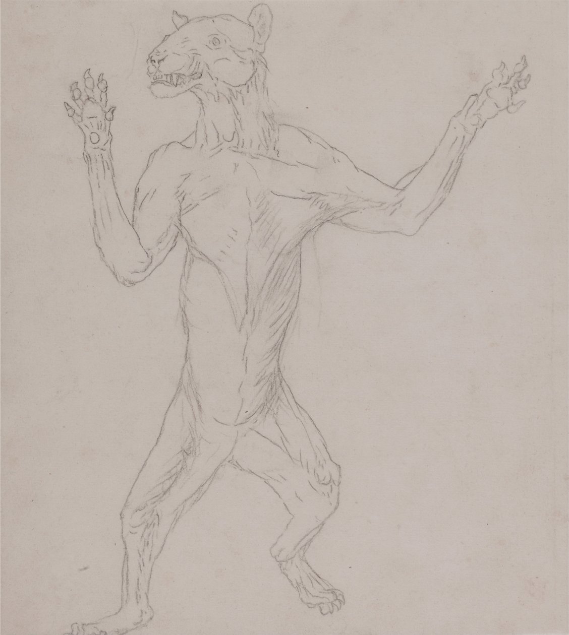 En komparativ anatomisk utstilling av menneskekroppens struktur med en tiger og en ... av George Stubbs