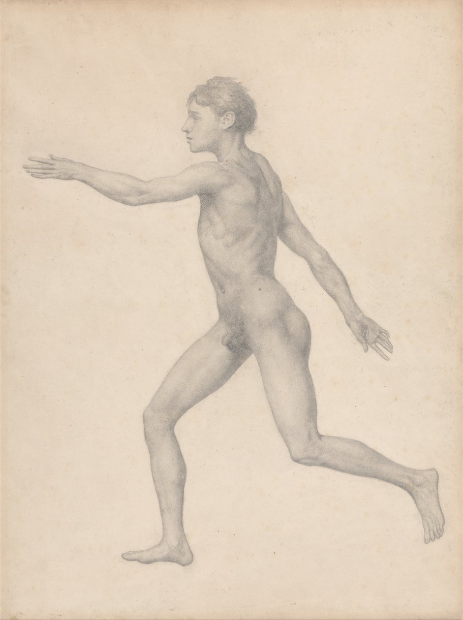 En komparativ anatomisk utstilling av menneskekroppens struktur med en tiger og en ... av George Stubbs
