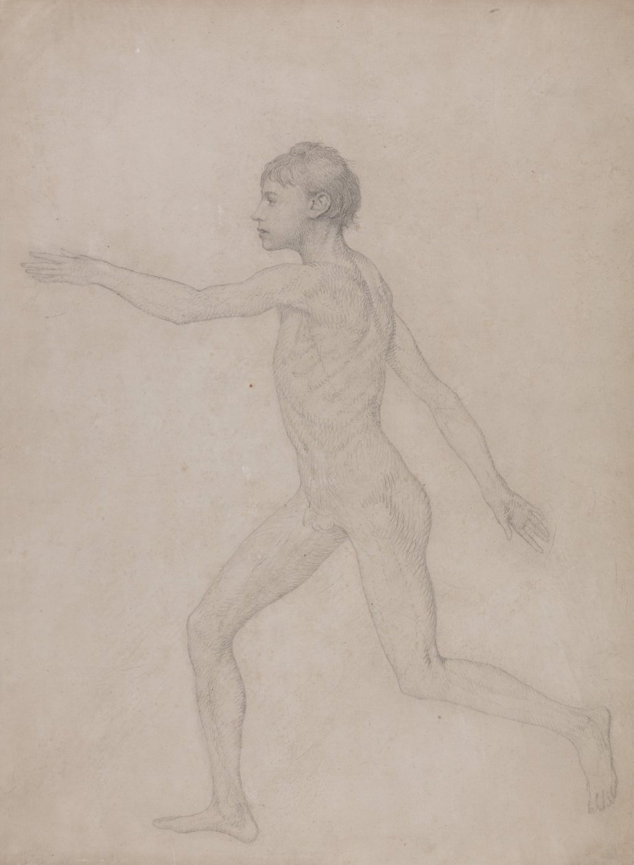 En komparativ anatomisk utstilling av menneskekroppens struktur med en tiger og en ... av George Stubbs