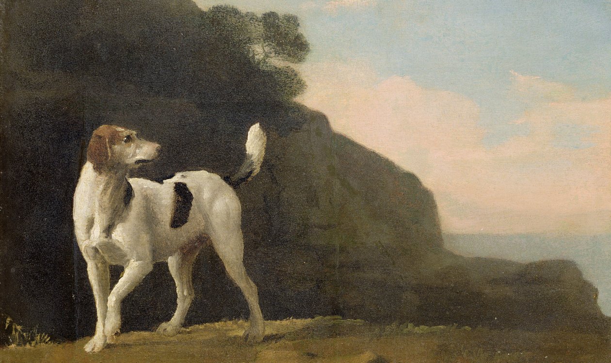 A Foxhound, ca. 1760 (olje på papir lagt om bord) av George Stubbs