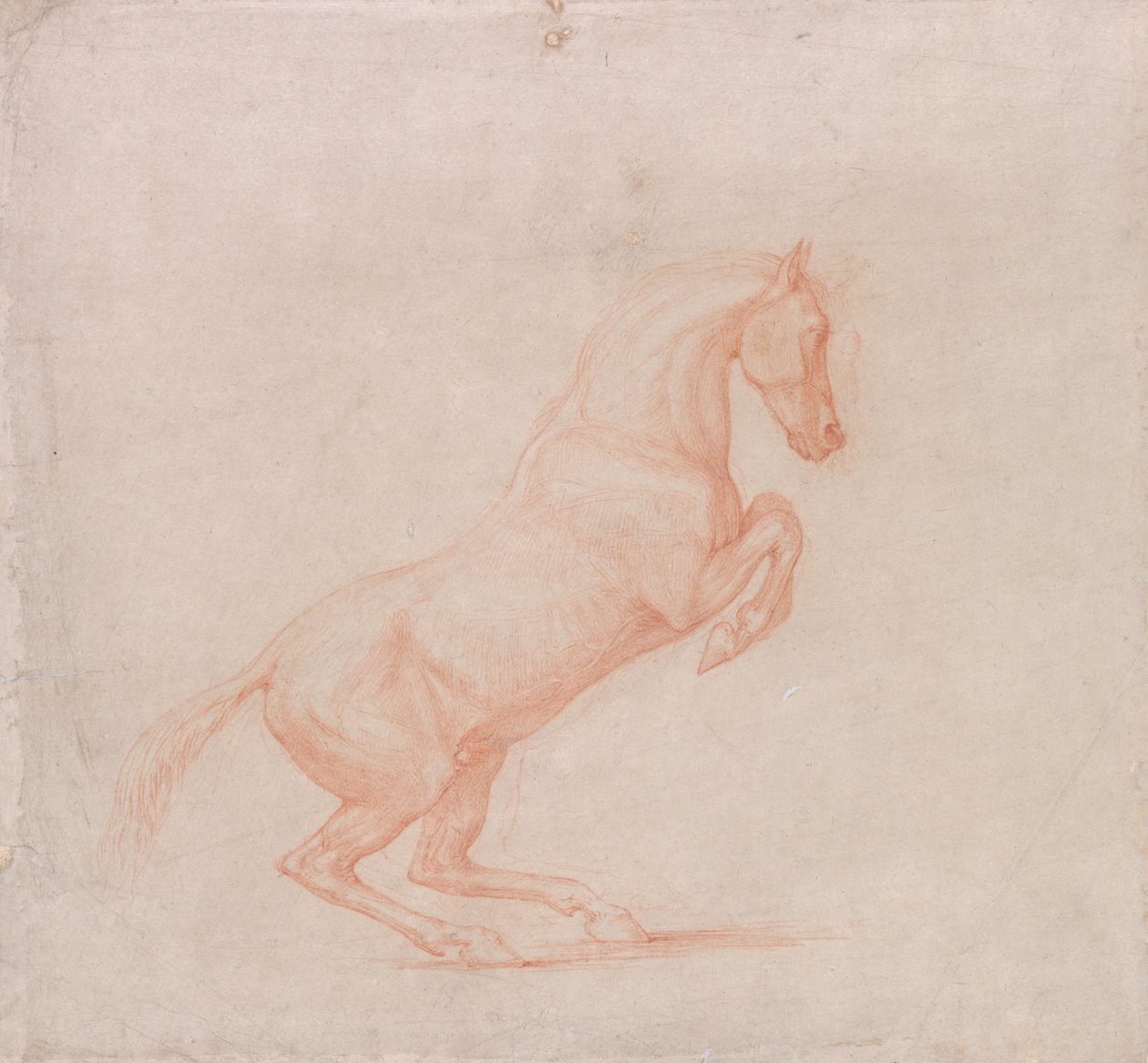 En dansende hest, vendt mot høyre av George Stubbs