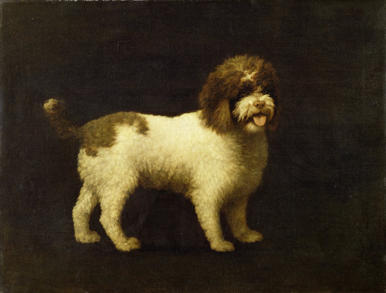 En vannspaniel, 1769 av George Stubbs