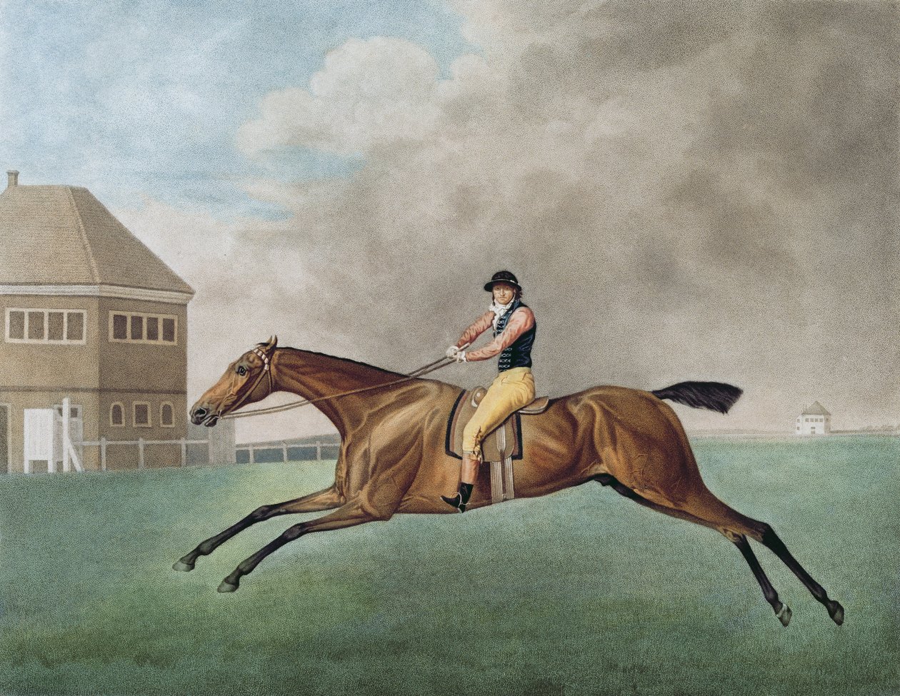 Baronet, 1794 av George Stubbs