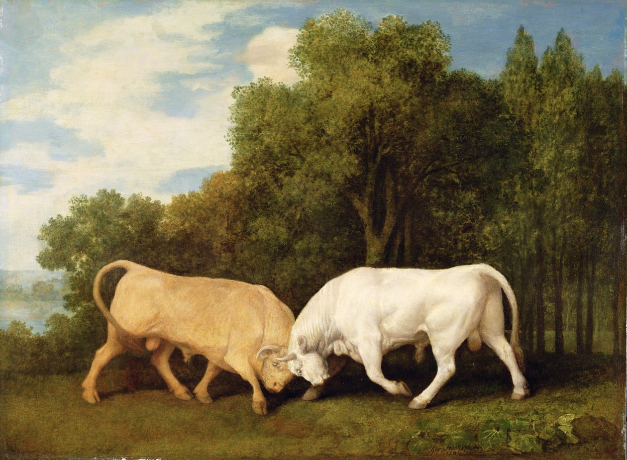 Oksekamp, 1786 av George Stubbs