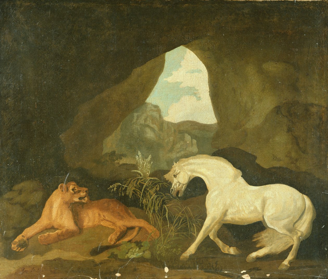 Løvinne og hvit hingst, 1760 av George Stubbs