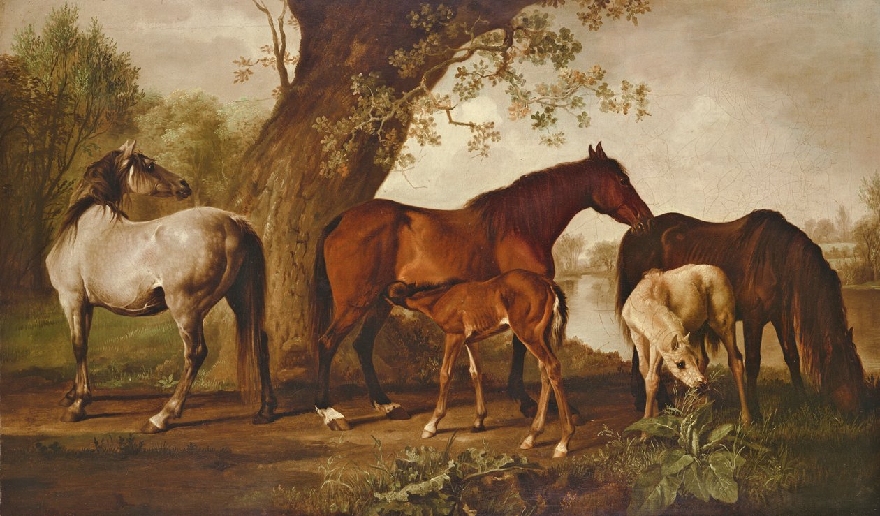 Hoppe og føll av George Stubbs