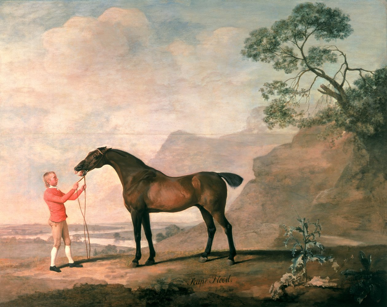 Syndflod av George Stubbs