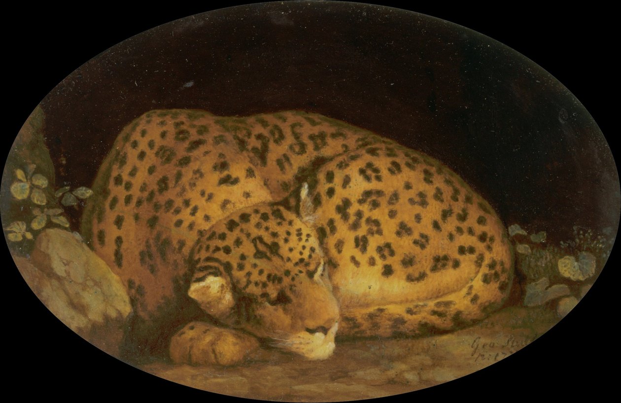 Sovende leopard av George Stubbs