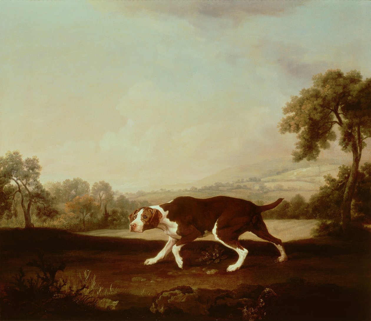 Spansk peker av George Stubbs