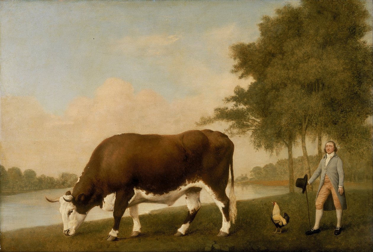 Lincolnshire Ox av George Stubbs